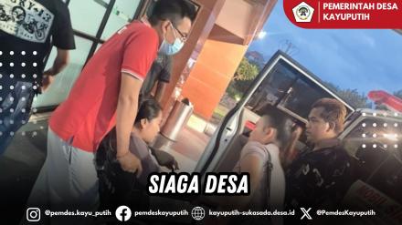 PELAYANAN TIM SIAGA DESA KEPADA WARGA