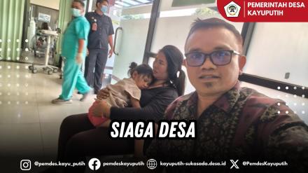 PELAYANAN TIM SIAGA DESA KEPADA WARGA